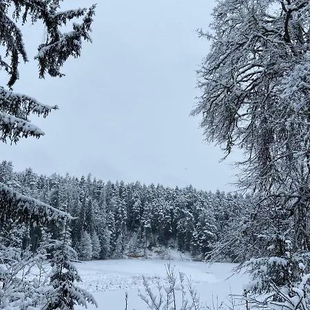 Tiku Puhketalu 펜션 Kiidjärve